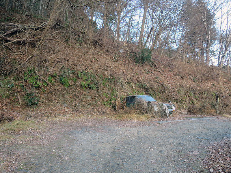 敷地内デロリアン風自然回帰型