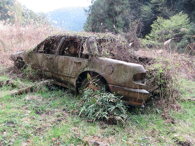 林道単純放置型