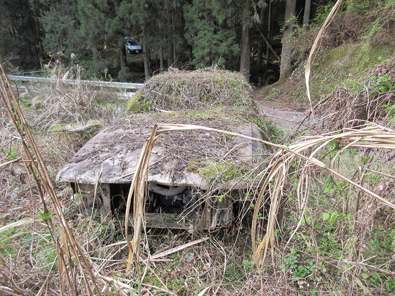 林道単純放置型