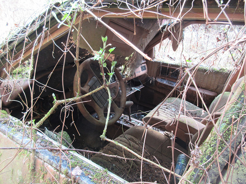 林道単純放置型