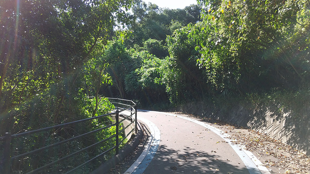 大島橋へ