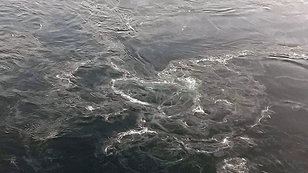 来島海峡の渦