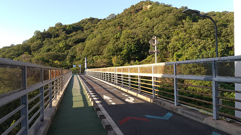 向島