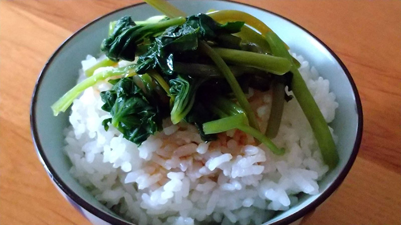 葉わさびとご飯