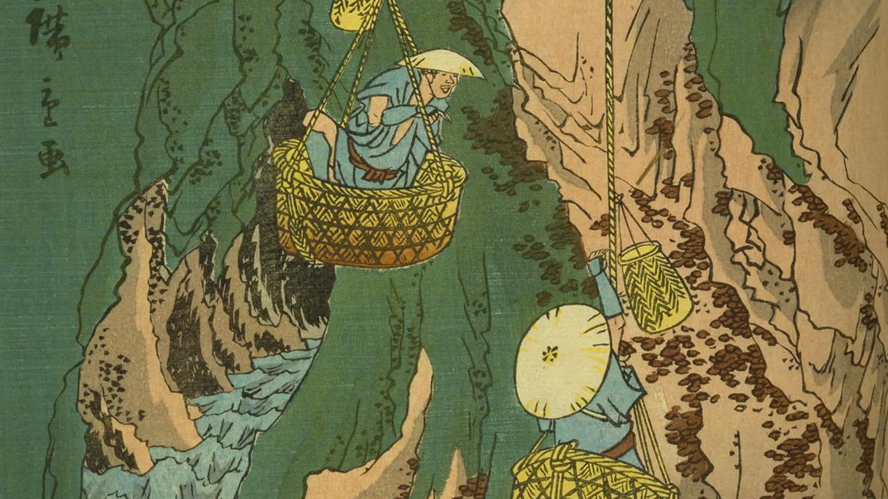 紀州熊野岩茸取