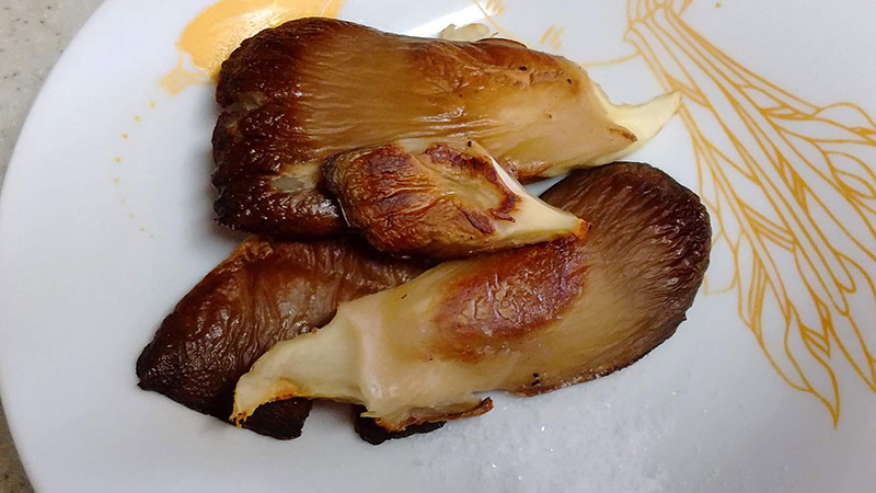 塩のみで食べます。しっかりした歯ごたえです。キノコの旨味がどかんと口に広がります。このは日本酒です。けれどもまだ真っ昼間だし、アルコールで毒の効きが強くなったりするとデンジャラスです。我慢します。